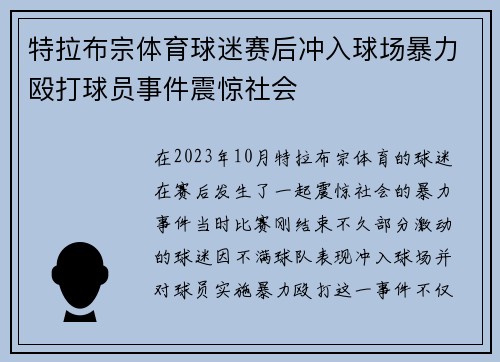特拉布宗体育球迷赛后冲入球场暴力殴打球员事件震惊社会 特拉布宗体育球迷赛后冲入球场暴力殴打球员事件震惊社会